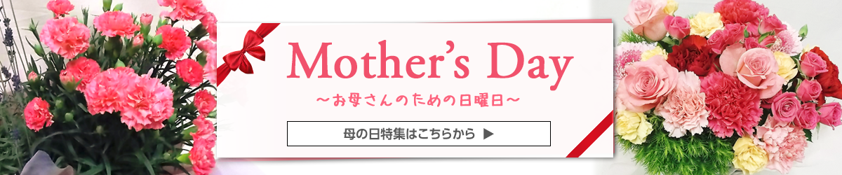 Mother's Day お母さんのための日曜日 母の日特集はこちらから