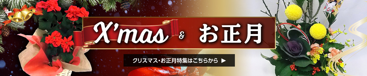 X'max & お正月 クリスマス・お正月特集はこちら