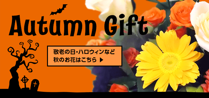 Autumn Gift 敬老の日・ハロウィンなど秋のお花はこちら