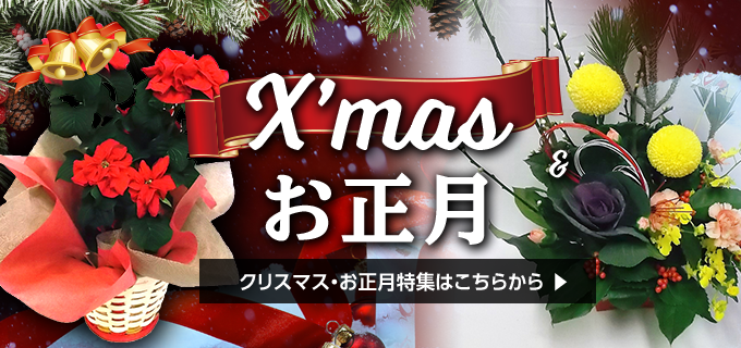 X'max & お正月 クリスマス・お正月特集はこちら