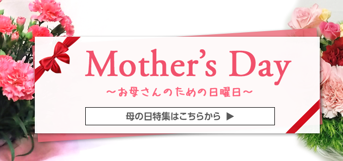 Mother's Day お母さんのための日曜日 母の日特集はこちらから