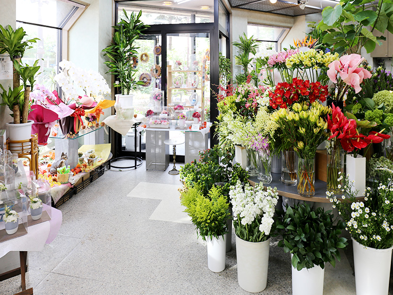 旭川駅のオシャレなお花屋さん10選 様々なシーンにあったフラワーギフトが手に入る Pathee パシー